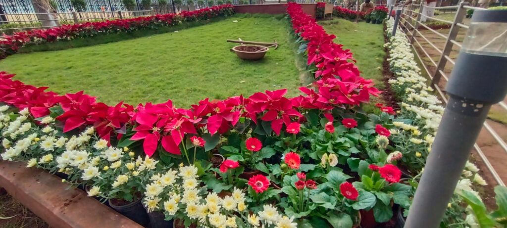 बाळासाहेबांच्या