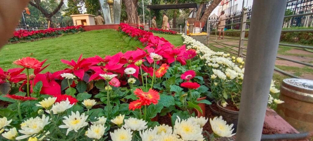 बाळासाहेबांच्या