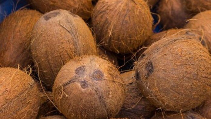 खोबऱ्या