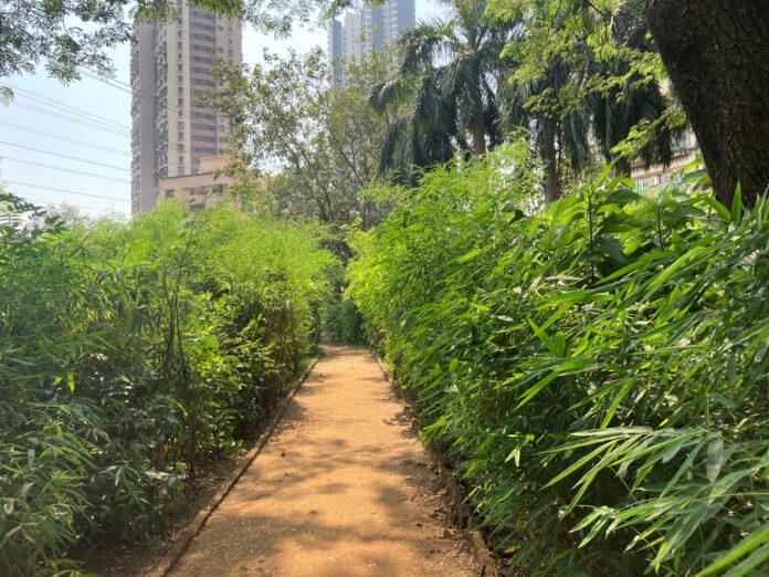 मियावाकी