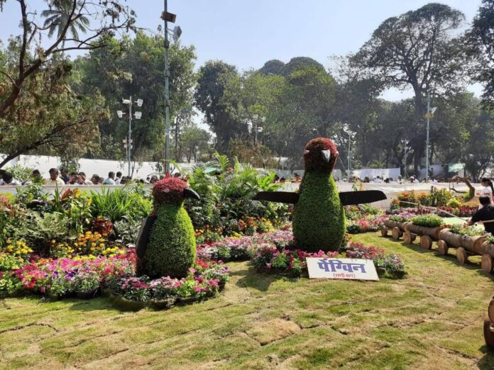 पेपा पिग