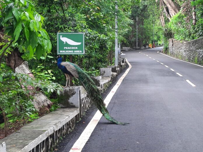 प्रधान सचिव