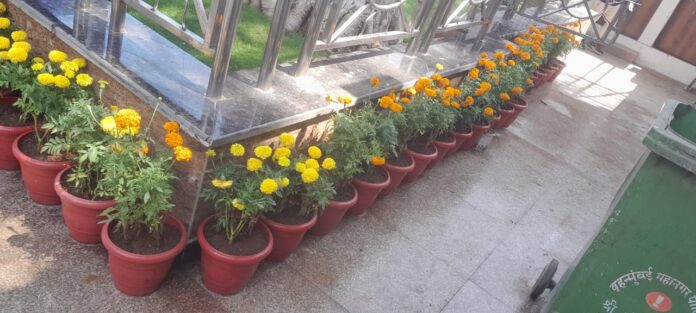 चैत्यभूमी