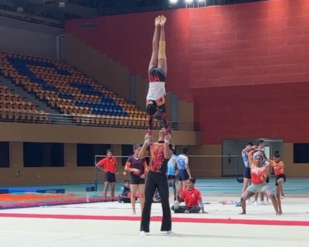 जिमनॅस्टिक्स